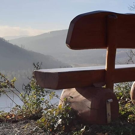 Ferienwohnung Reese- Horstmann Mit Hallenbad Und Sauna, Wlan "Harz Zu Jeder Jahreszeit" 바트하르추부르크 외부 사진