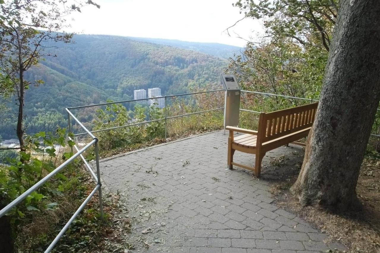 Ferienwohnung Reese- Horstmann Mit Hallenbad Und Sauna, Wlan "Harz Zu Jeder Jahreszeit" 바트하르추부르크 외부 사진