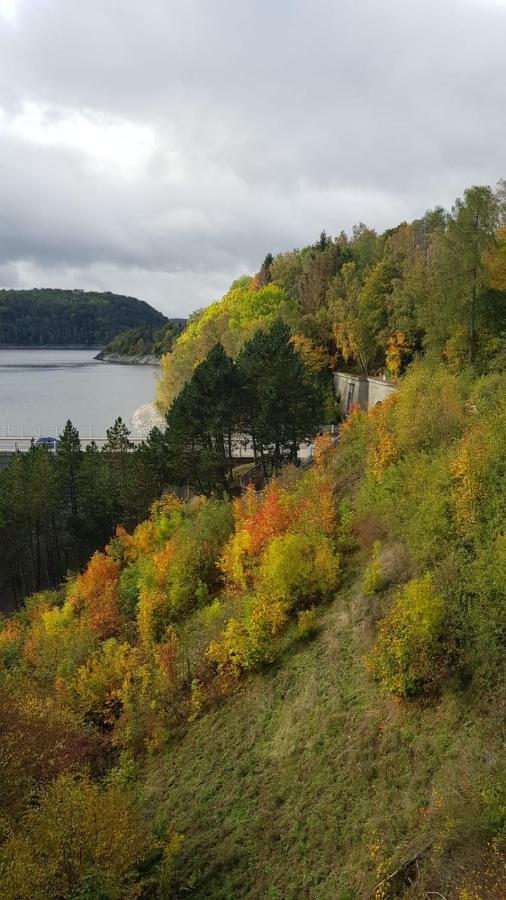 Ferienwohnung Reese- Horstmann Mit Hallenbad Und Sauna, Wlan "Harz Zu Jeder Jahreszeit" 바트하르추부르크 외부 사진