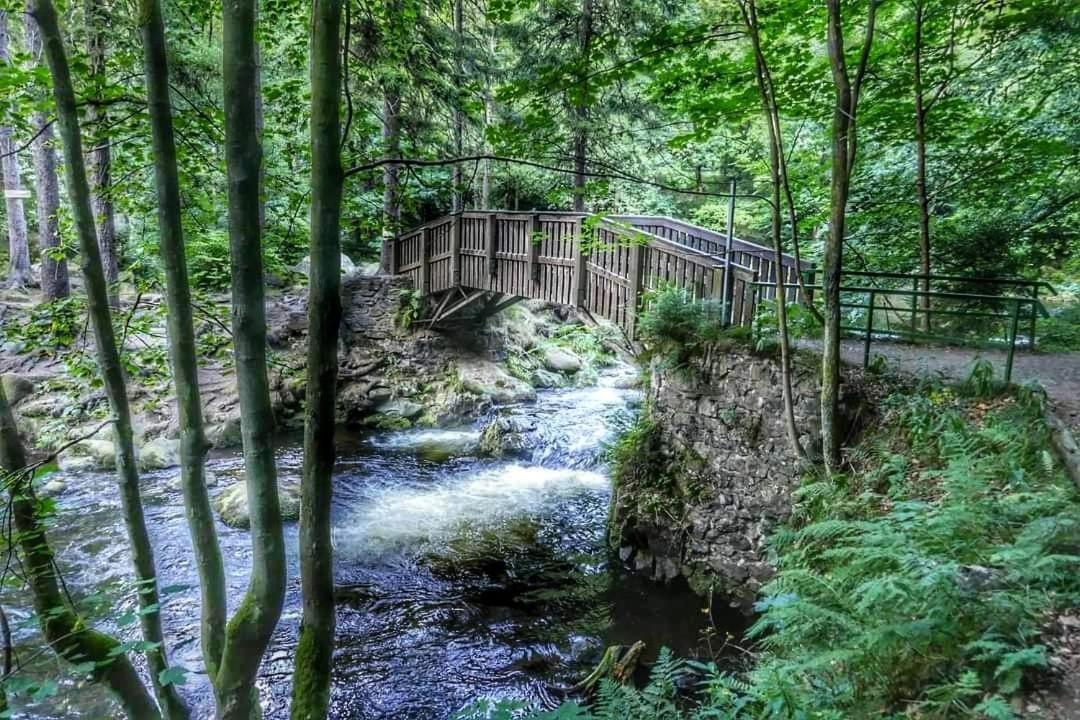 Ferienwohnung Reese- Horstmann Mit Hallenbad Und Sauna, Wlan "Harz Zu Jeder Jahreszeit" 바트하르추부르크 외부 사진