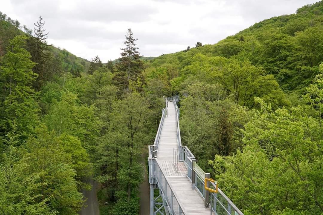 Ferienwohnung Reese- Horstmann Mit Hallenbad Und Sauna, Wlan "Harz Zu Jeder Jahreszeit" 바트하르추부르크 외부 사진