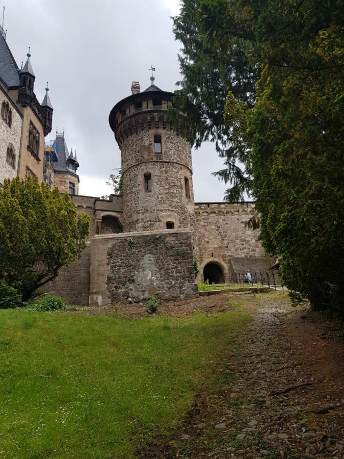 Ferienwohnung Reese- Horstmann Mit Hallenbad Und Sauna, Wlan "Harz Zu Jeder Jahreszeit" 바트하르추부르크 외부 사진
