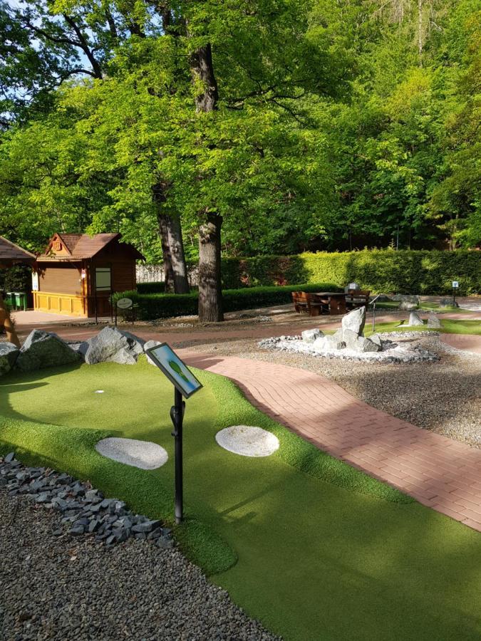 Ferienwohnung Reese- Horstmann Mit Hallenbad Und Sauna, Wlan "Harz Zu Jeder Jahreszeit" 바트하르추부르크 외부 사진