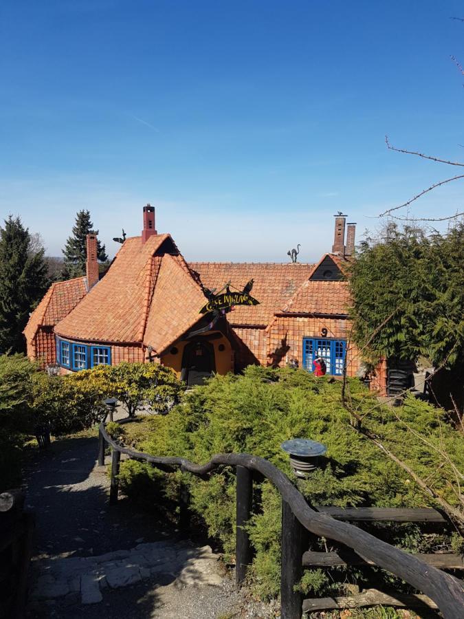 Ferienwohnung Reese- Horstmann Mit Hallenbad Und Sauna, Wlan "Harz Zu Jeder Jahreszeit" 바트하르추부르크 외부 사진