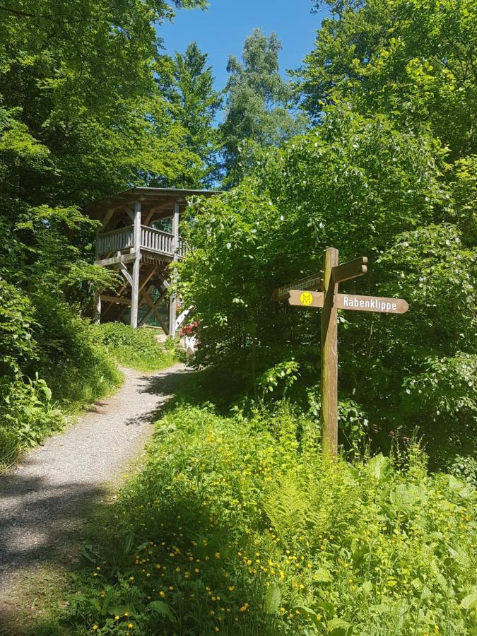 Ferienwohnung Reese- Horstmann Mit Hallenbad Und Sauna, Wlan "Harz Zu Jeder Jahreszeit" 바트하르추부르크 외부 사진