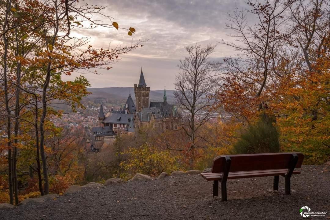 Ferienwohnung Reese- Horstmann Mit Hallenbad Und Sauna, Wlan "Harz Zu Jeder Jahreszeit" 바트하르추부르크 외부 사진