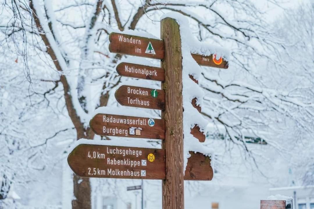 Ferienwohnung Reese- Horstmann Mit Hallenbad Und Sauna, Wlan "Harz Zu Jeder Jahreszeit" 바트하르추부르크 외부 사진