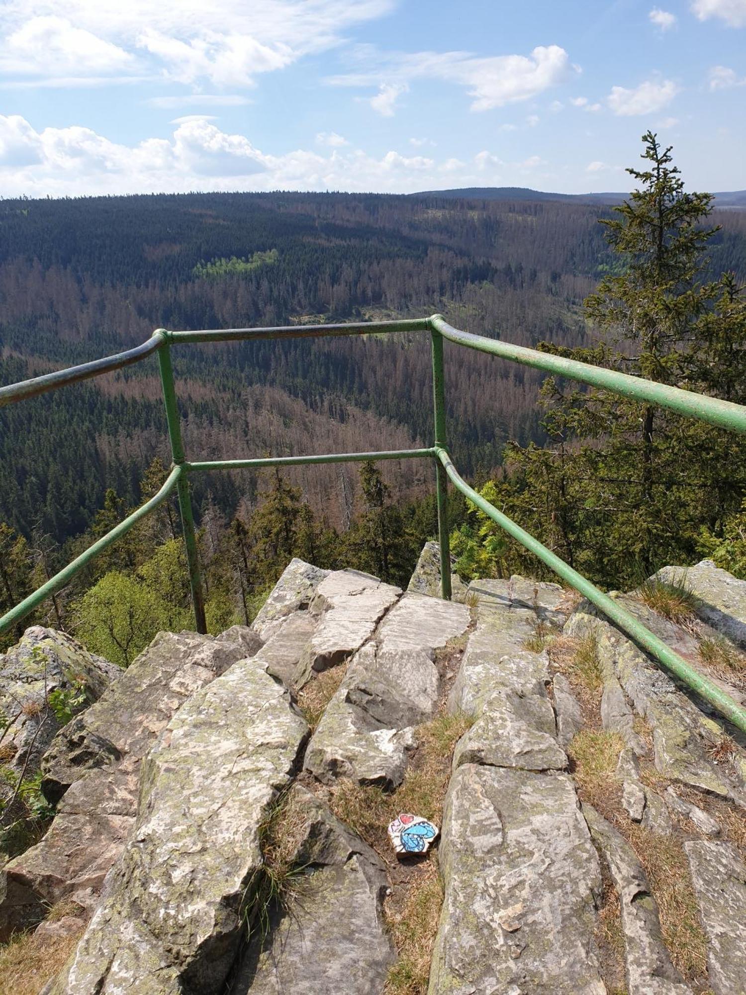 Ferienwohnung Reese- Horstmann Mit Hallenbad Und Sauna, Wlan "Harz Zu Jeder Jahreszeit" 바트하르추부르크 객실 사진
