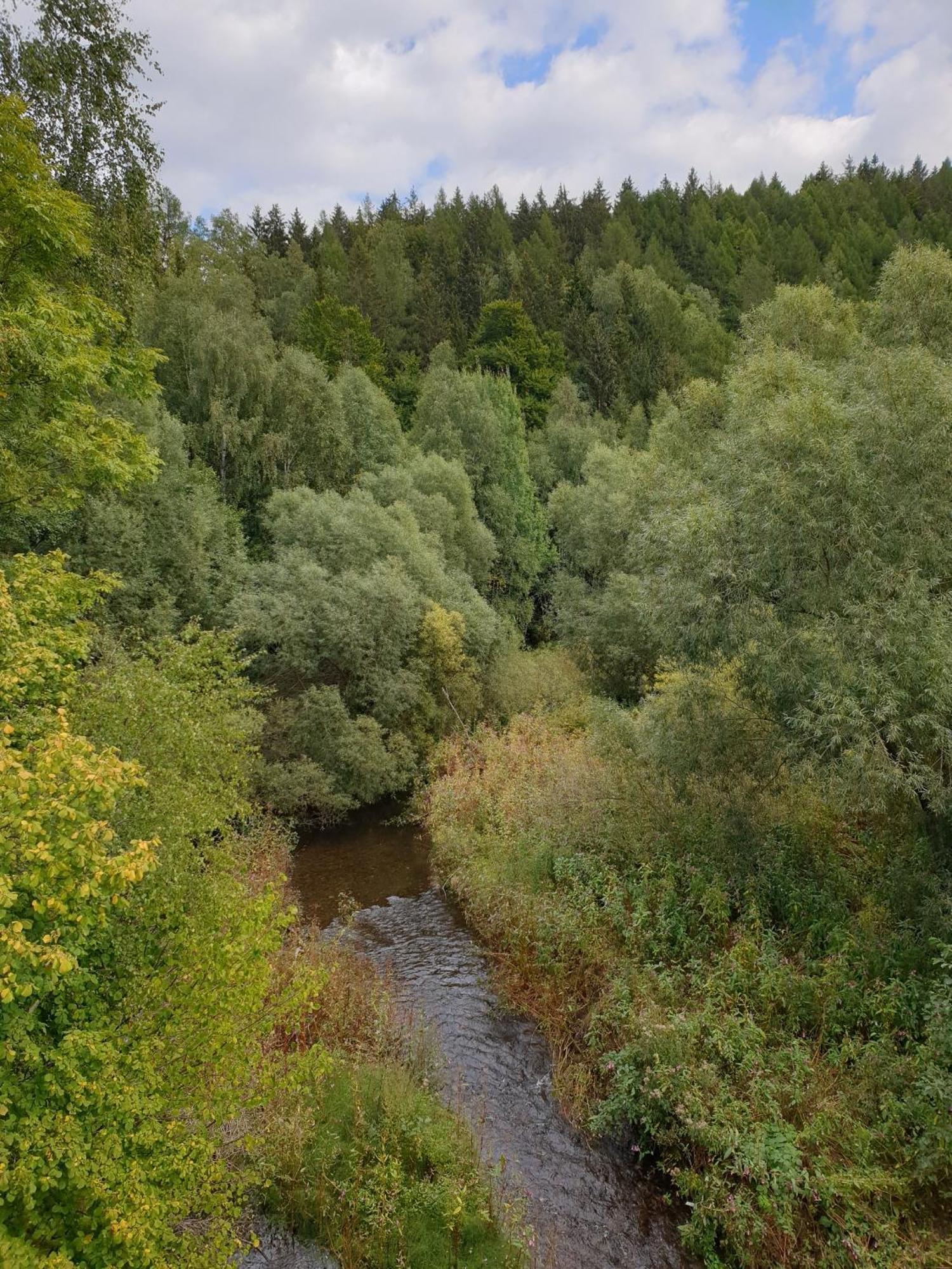 Ferienwohnung Reese- Horstmann Mit Hallenbad Und Sauna, Wlan "Harz Zu Jeder Jahreszeit" 바트하르추부르크 객실 사진