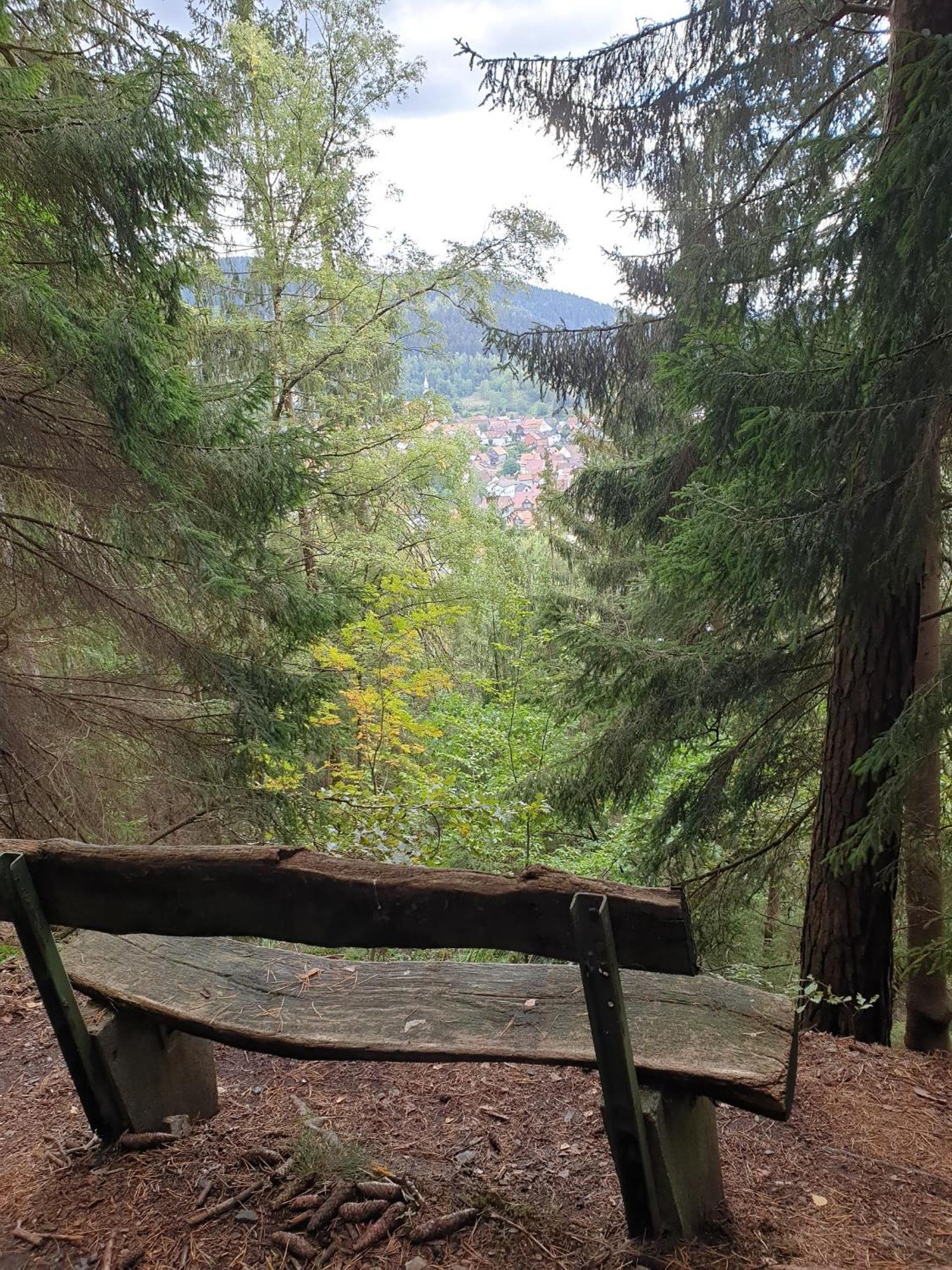 Ferienwohnung Reese- Horstmann Mit Hallenbad Und Sauna, Wlan "Harz Zu Jeder Jahreszeit" 바트하르추부르크 객실 사진